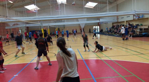 20170114_113641941_iOS