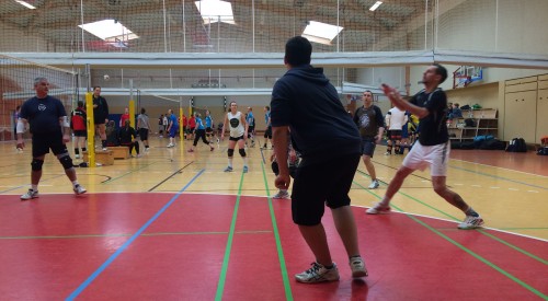 20170114_113759903_iOS