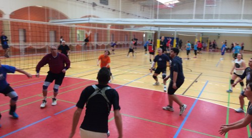 20170114_113905163_iOS