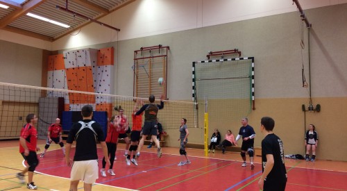 20170114_150114353_iOS