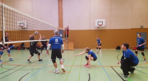 WhatsApp Image 2017-12-10 at 15.51.36(2)