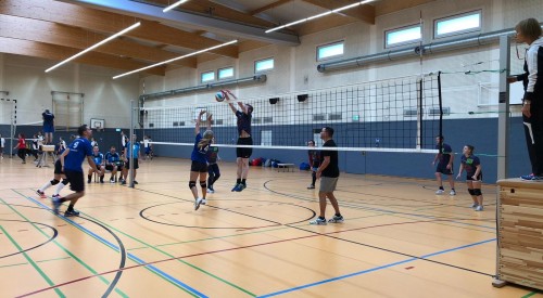 772147a9-c663-47ca-bf10-539aa6c77608