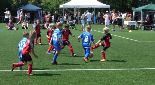 Inselpokal_Ratzeburg_1